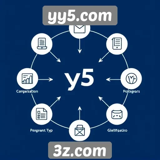 Principais características do suporte ao cliente do yy5.com
